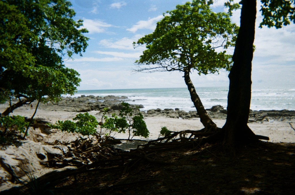 Santa Teresa, Costa Rica Fujifilm 400 Developed 12/23/23